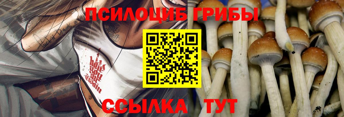 Псилоцибиновые грибы прущие грибы Нововоронеж